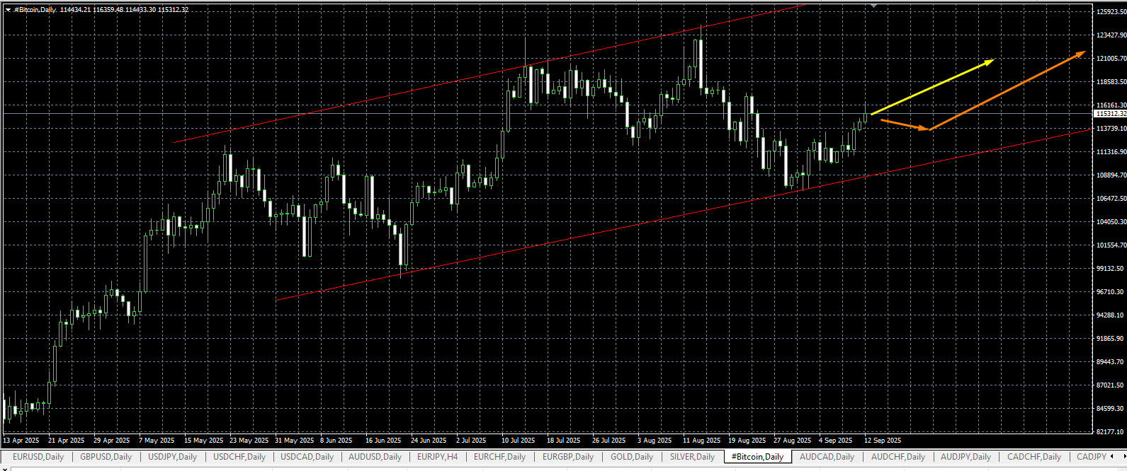 Click image for larger version

Name:	
Views:	1
Size:	41.4 كيلوبايت
ID:	16825059