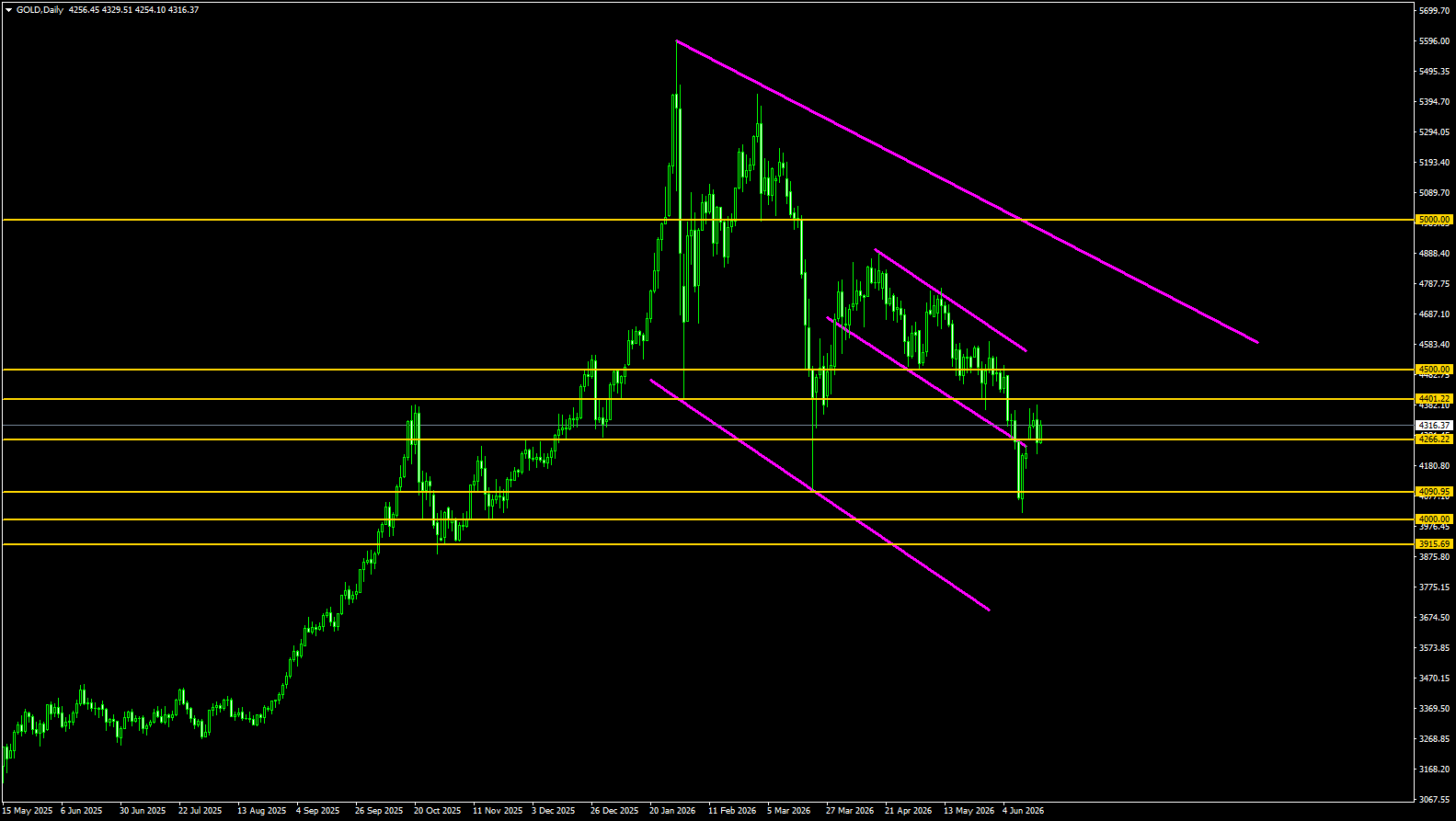 Click image for larger version

Name:	
Views:	5
Size:	32.4 كيلوبايت
ID:	16891817