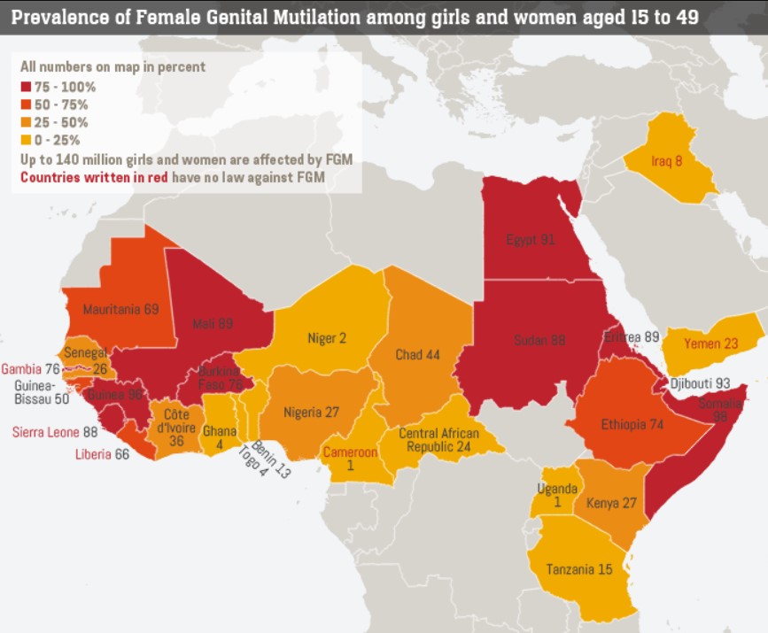 Female genitalia. Женское обрезание статистика по России. Обрезание в России статистика. Женское обрезание карта.