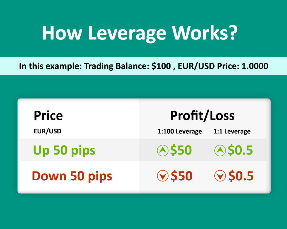 Which leverage to choose in forex forex capital markets llc ny