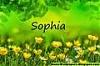 Sophia1