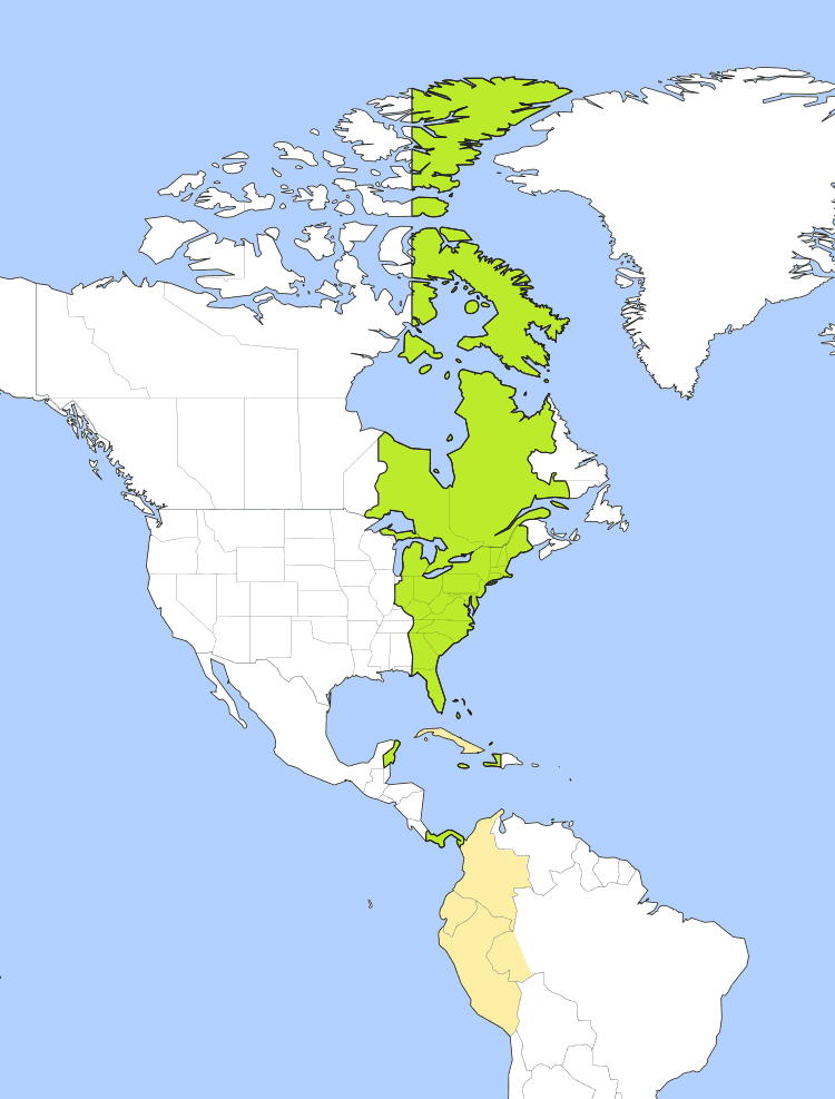 Est zone. Eastern Standard time. Eastern time Zone. Est Eastern Standard timezone. Eastern Daylight time Zone.