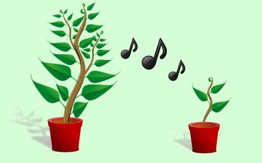 Растения и музыка картинки