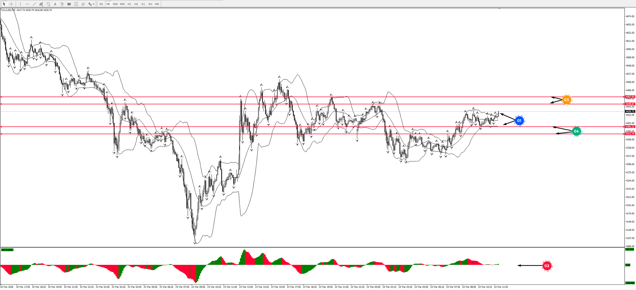 Game of Life: Visionary Insights into the Forex Market!