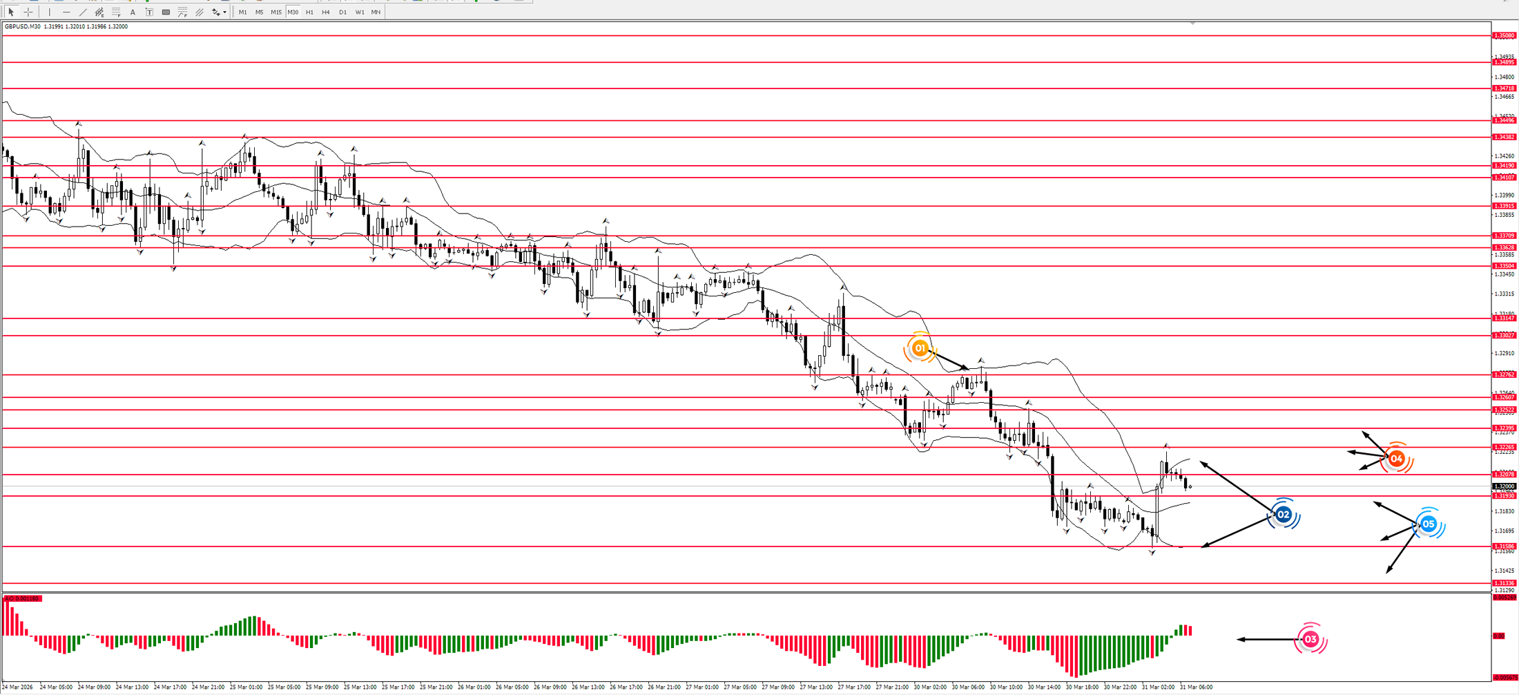 Game of Life: Visionary Insights into the Forex Market!