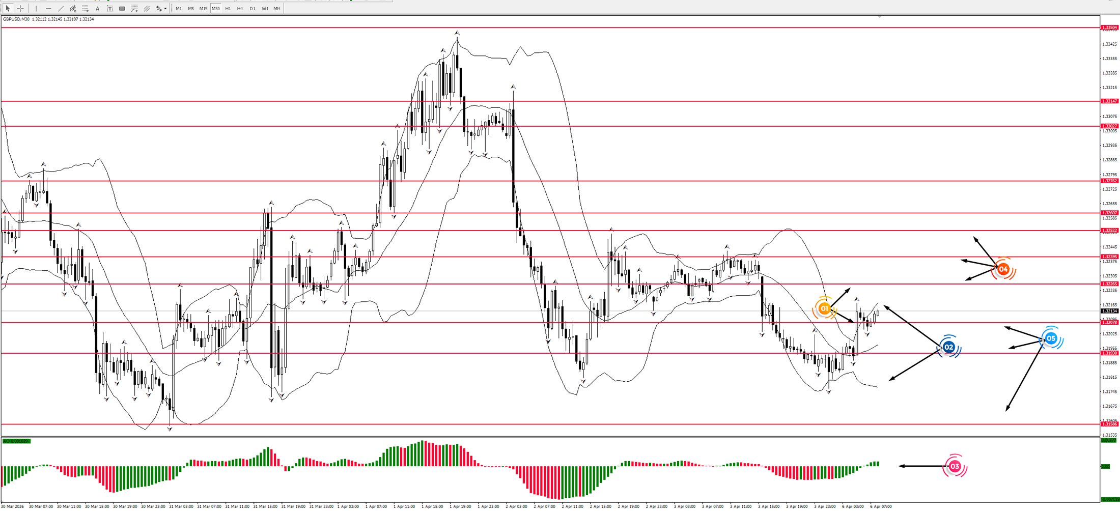 Game of Life: Visionary Insights into the Forex Market!