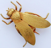 commodifly