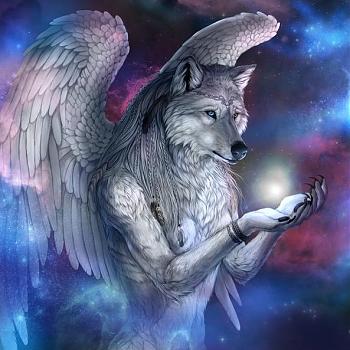 Grey Angel
