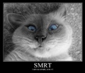 Smrt