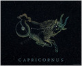 capricornus