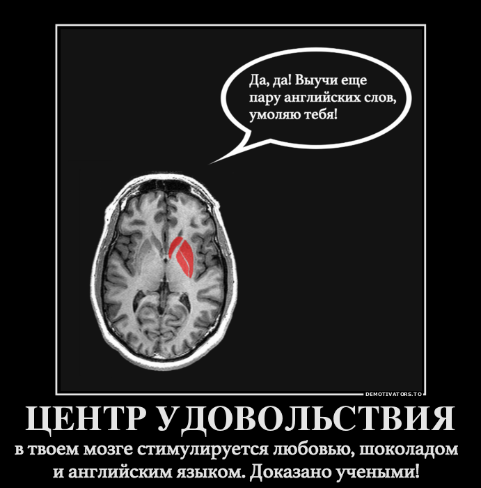 Зона удовольствия. Центры удовольствия в мозге. Зона удовольствия в мозге. Центр удовольствия в головном мозге. Мозг удовольствие.