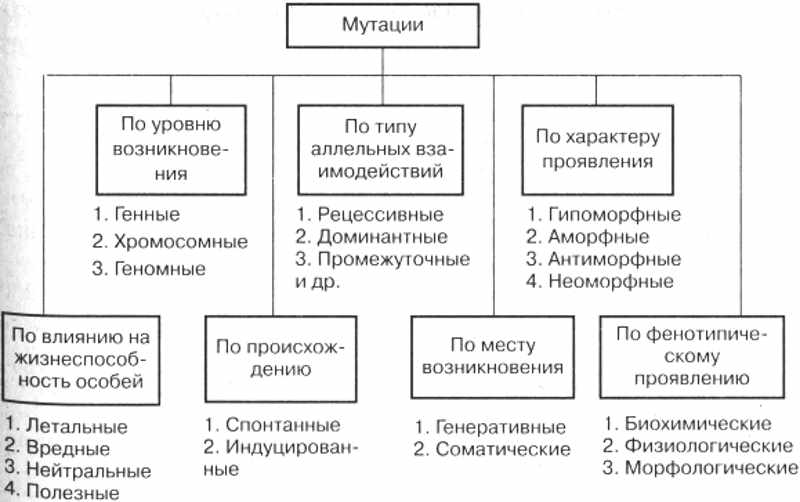 Стоковые фотографии по запросу Мутация