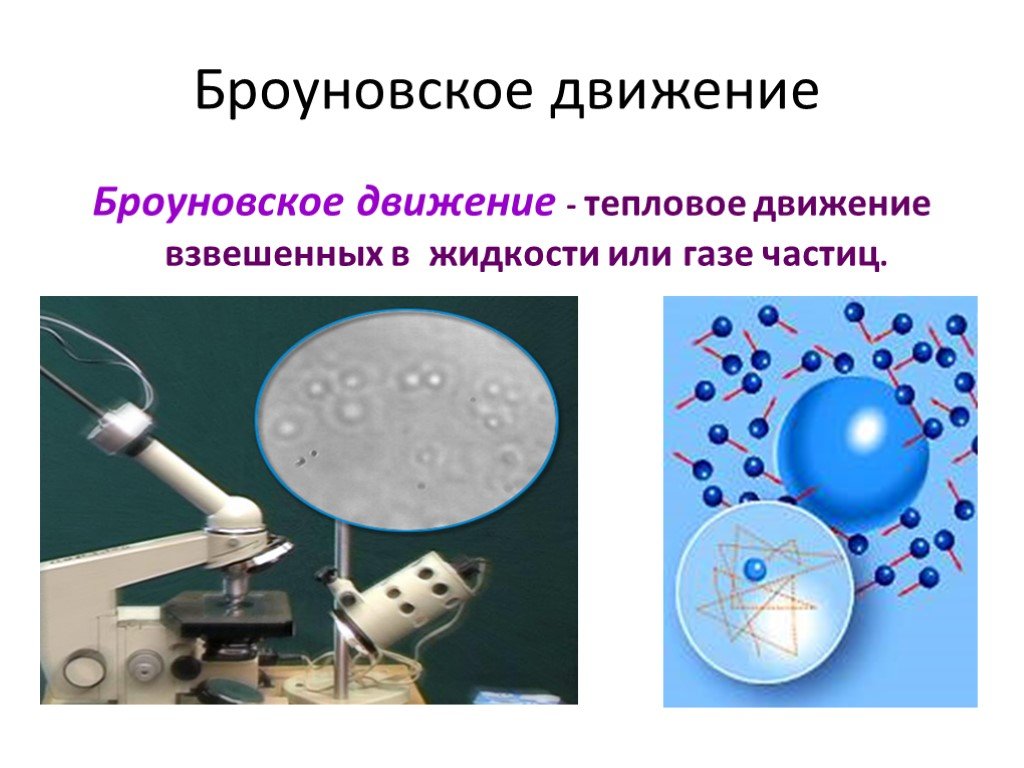 Движение частиц взвешенных в жидкости ученый. Броуновское движение. Тепловое движение взвешенных в жидкости частиц это. Проект броуновское движение. Броуновское движение в жидкости.