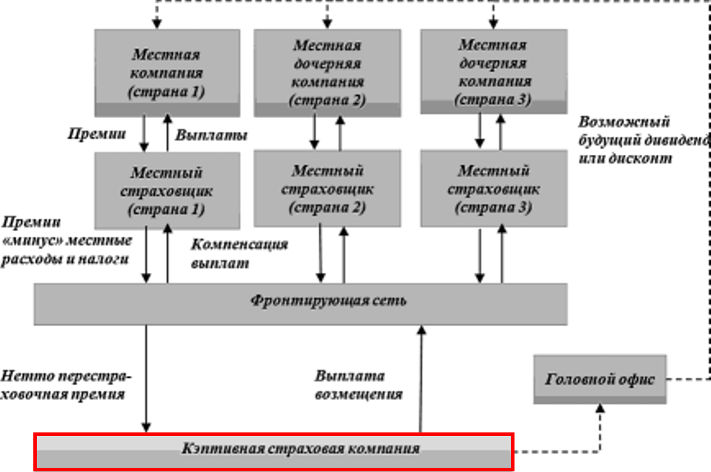 Что такое кэптивный банк?