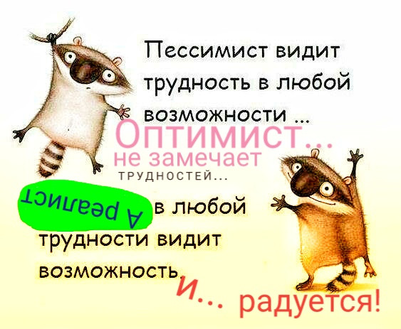 Оптимизм это. Анекдот про оптимизм. Анекдот про пессимиста. Про оптимистов и пессимистов с юмором. Анекдот про оптимиста.