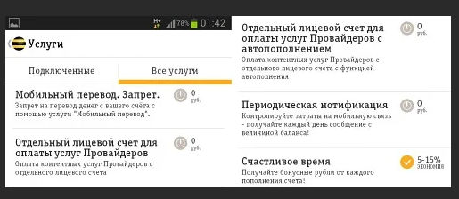 Билайн лицевой. Отдельный лицевой счёт для оплаты услуг провайдеров. Отдельный лицевой счёт для оплаты услуг провайдеров Билайн. Отдельные лицевые счета это. Контентный лицевой счет Билайн.