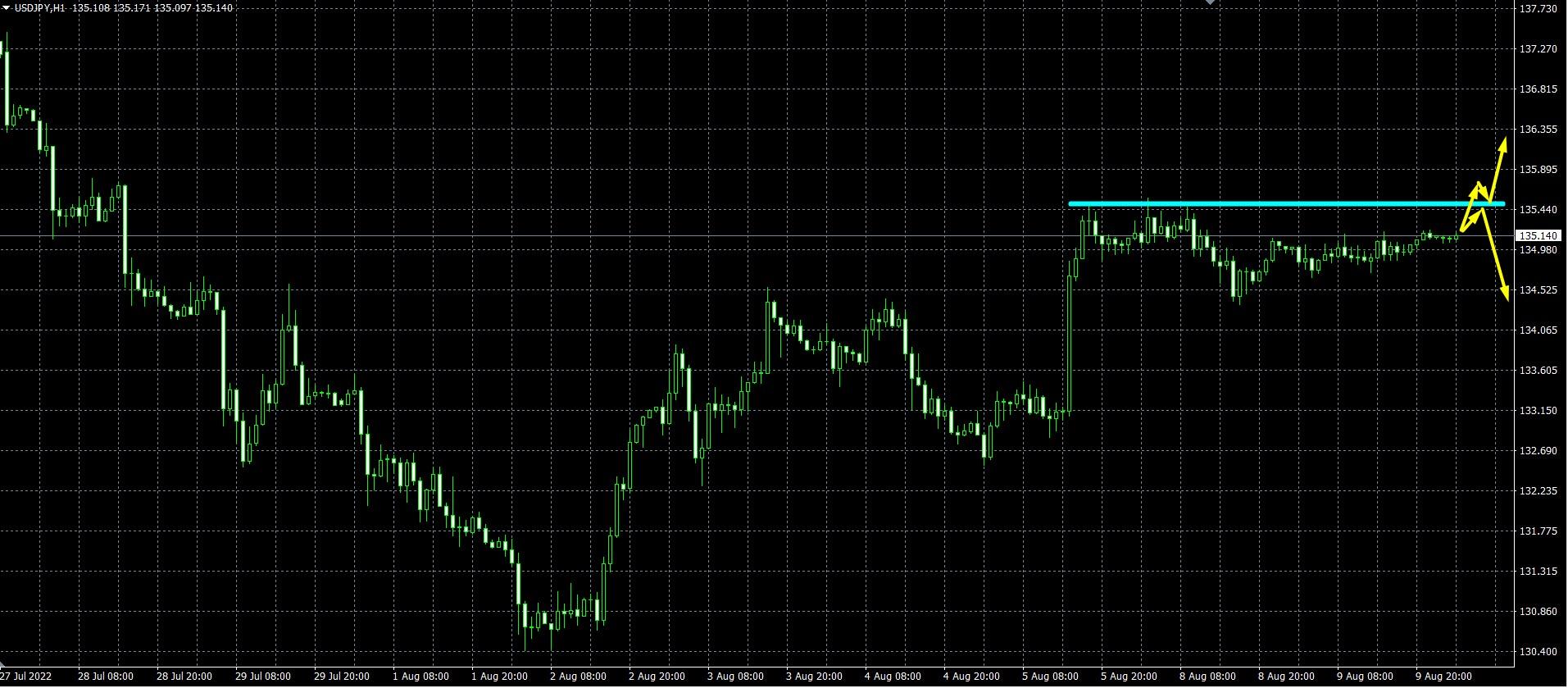 Прогноза форум. USD JPY прогноз 11.08.22.