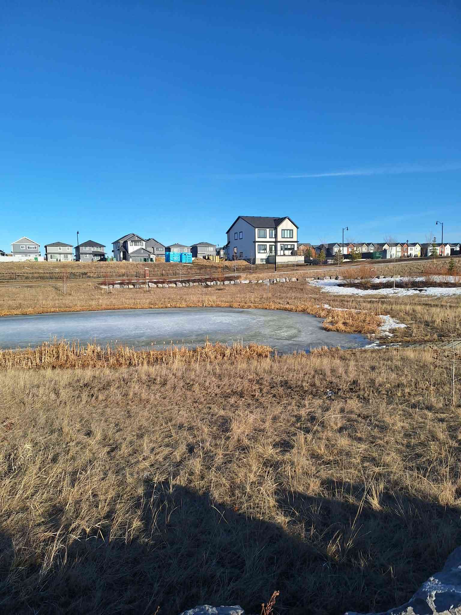 Дневник прогнозов по Фунту