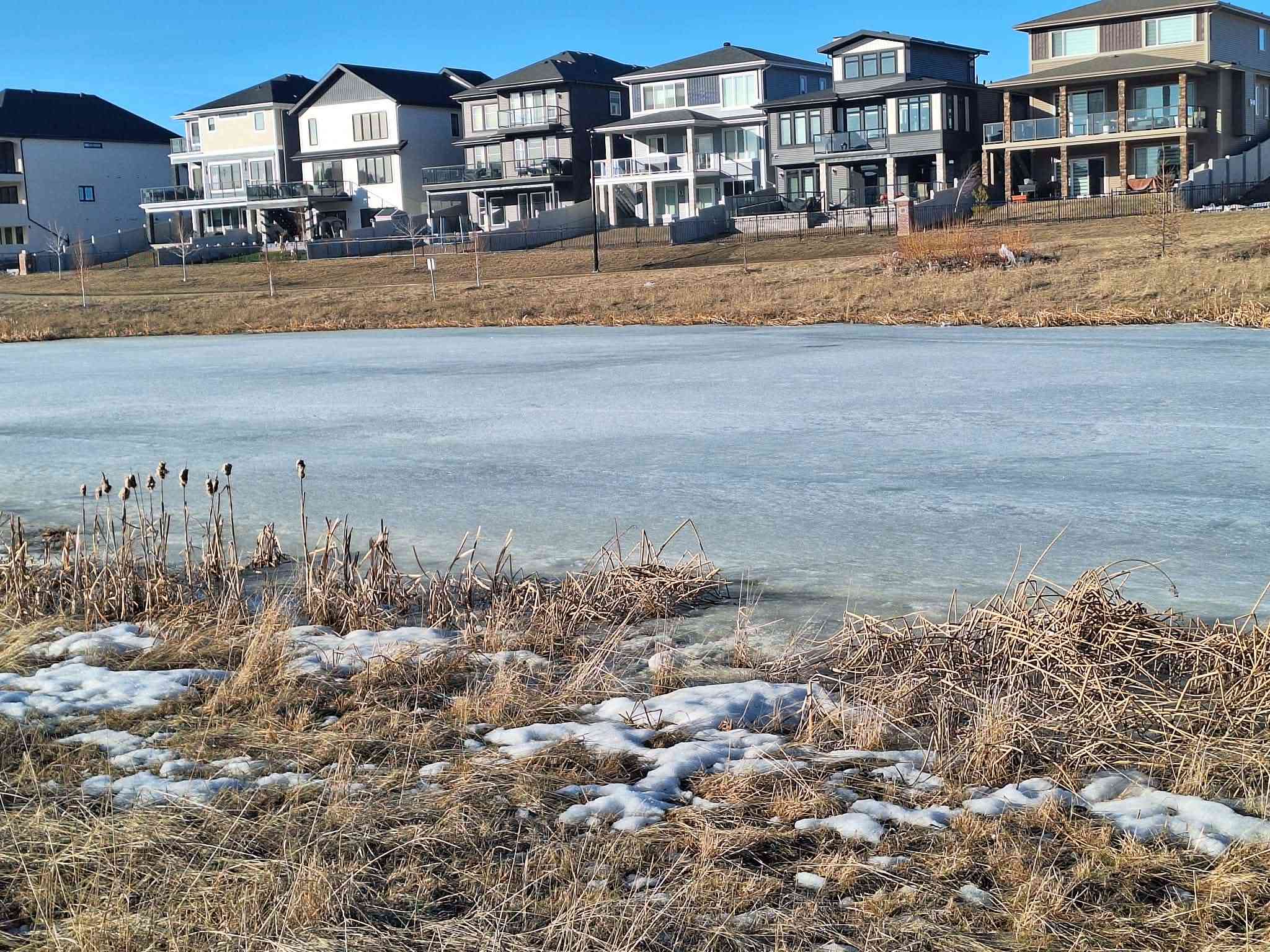 Дневник прогнозов по Фунту