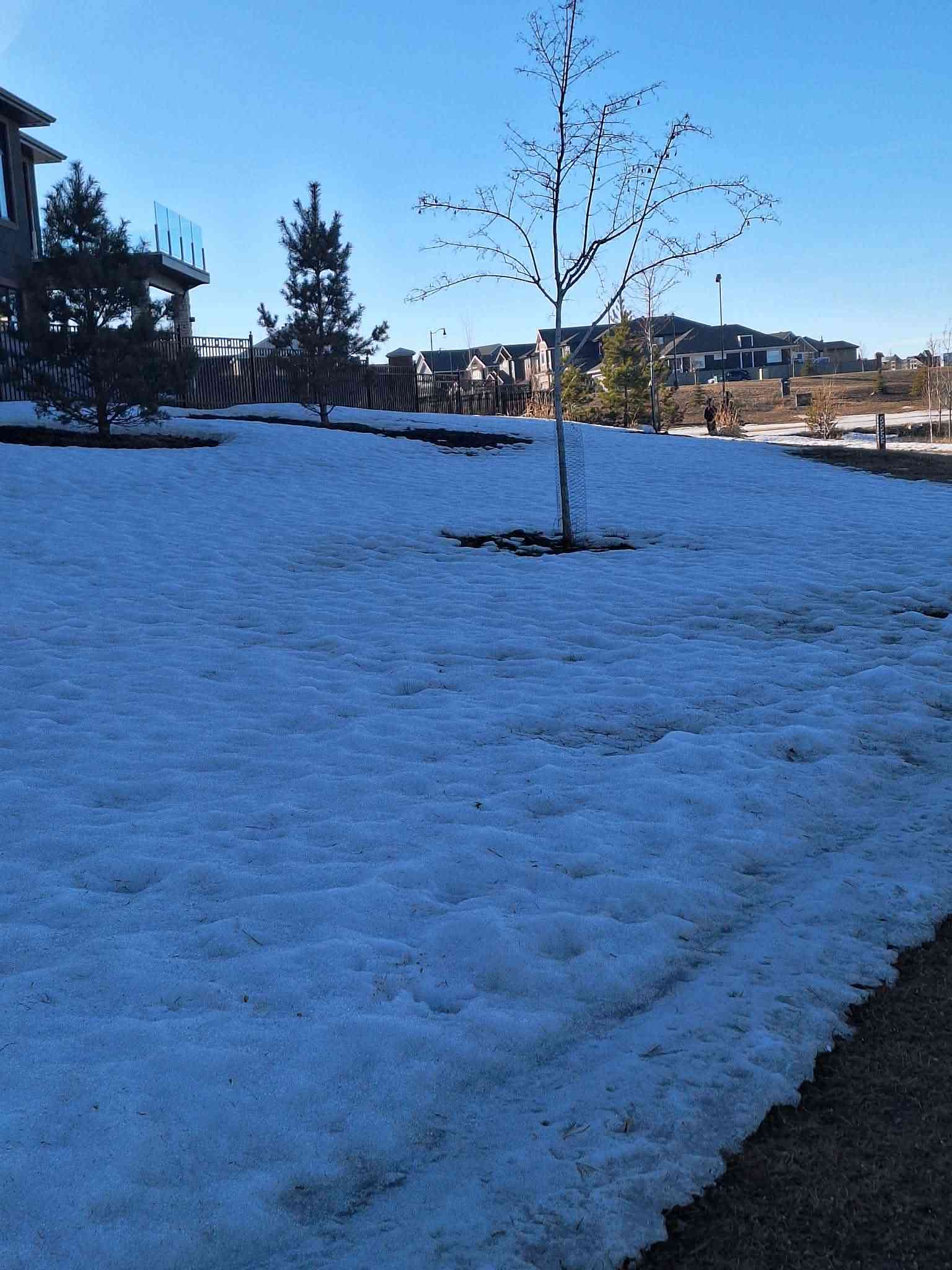 Дневник прогнозов по Фунту