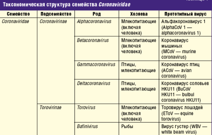 Таблица «структура семейства коронавирусов». Классификация коронавирусной инфекции. Таксономия коронавируса. Коронавирус семейство. Коронавирус какие штаммы