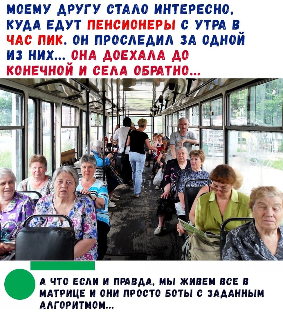 Куда утром едут бабушки