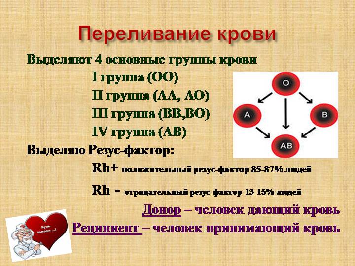 Групповая принадлежность крови и схема переливания