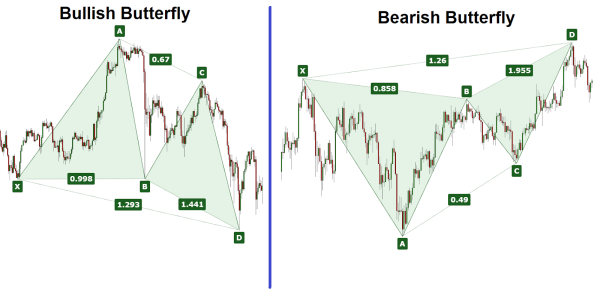 Click image for larger version

Name:	Bullish_and_Bearish_Butterfly.png
Views:	188
Size:	192.8 کلوبائٹ
ID:	12777810