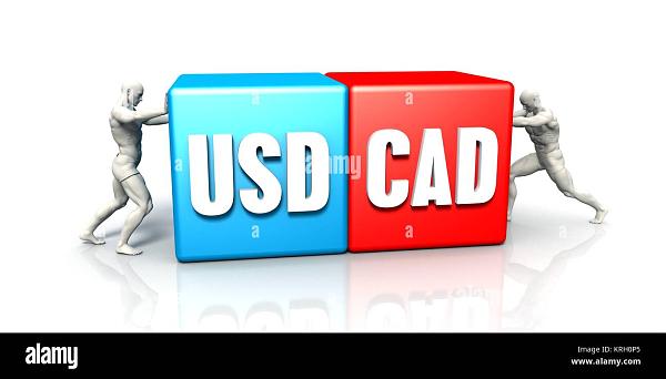 Click image for larger version

Name:	usd cad.jpg
Views:	33
Size:	99.3 کلوبائٹ
ID:	12785715