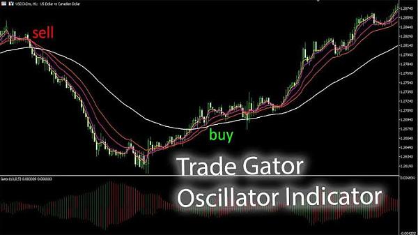 Click image for larger version

Name:	gator oscillator indicator.jpeg
Views:	18
Size:	62.6 کلوبائٹ
ID:	12786415
