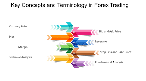 Click image for larger version

Name:	key concepts of forex tradings.png
Views:	45
Size:	6.6 کلوبائٹ
ID:	12830844