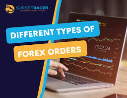 Click image for larger version

Name:	forex orders.jpg
Views:	32
Size:	22.1 کلوبائٹ
ID:	12862237