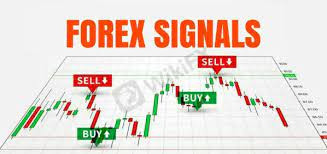 Click image for larger version

Name:	image_forex trading.jpg
Views:	26
Size:	19.1 کلوبائٹ
ID:	12864633