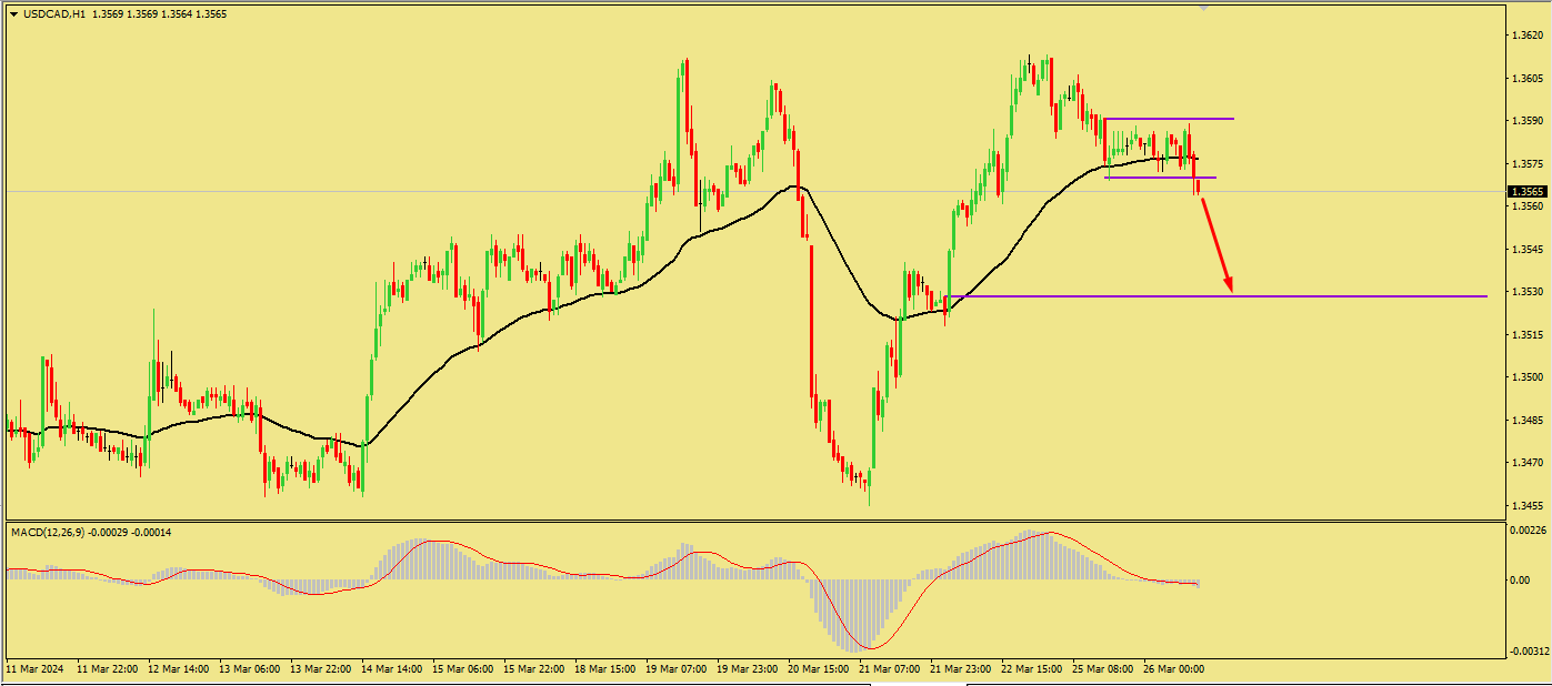 Click image for larger version

Name:	usdcad.png
Views:	48
Size:	26.0 کلوبائٹ
ID:	12882577