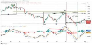 Click image for larger version

Name:	MACD Indicator in Forex Trading Explained.jpg
Views:	26
Size:	15.8 کلوبائٹ
ID:	12908430