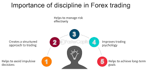 Click image for larger version

Name:	Discipline in forex market.png
Views:	571
Size:	5.9 کلوبائٹ
ID:	12912842