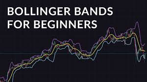 Click image for larger version

Name:	Bollinger band.jpeg
Views:	51
Size:	15.7 کلوبائٹ
ID:	12930622
