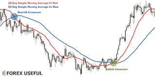 Click image for larger version

Name:	trend reversal indicator image.png
Views:	61
Size:	7.9 کلوبائٹ
ID:	12954142