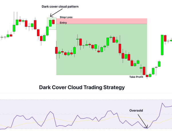 Click image for larger version

Name:	dark-cover-cloud-trading-strategy-1536x1179.png
Views:	31
Size:	148.0 کلوبائٹ
ID:	12978811