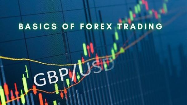 Click image for larger version

Name:	Basics-of-forex-trading-622x350.jpg
Views:	8
Size:	56.3 کلوبائٹ
ID:	12902249